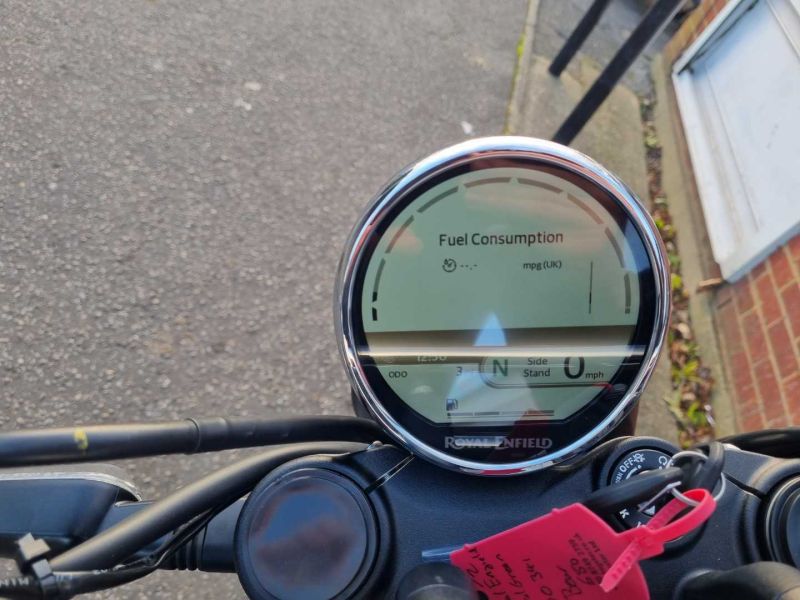 royal enfield BEAR 650