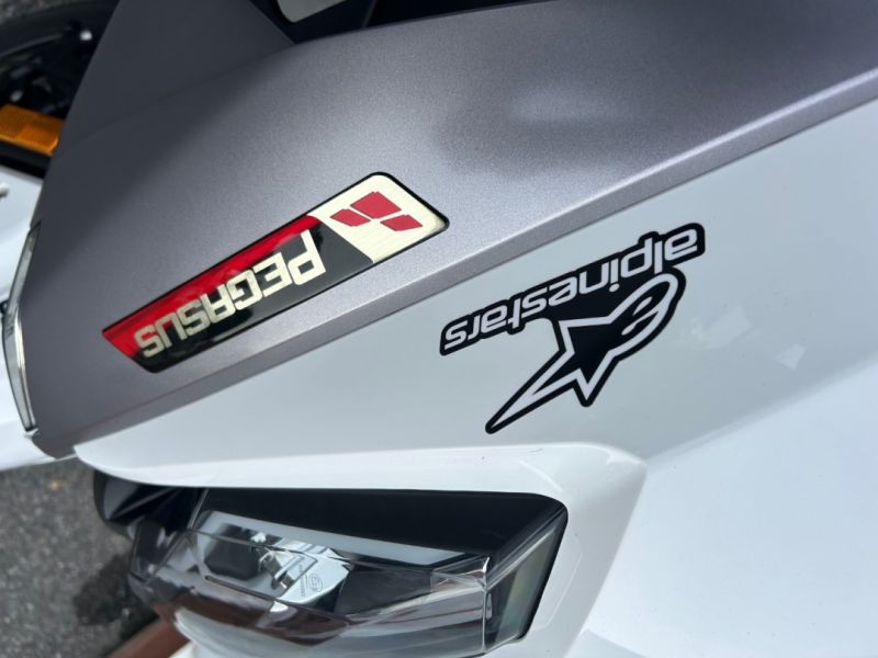 lexmoto PEGASUS 300